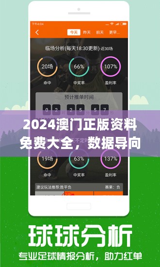 2025新澳门正版精准免费大全｜统计评估解析说明