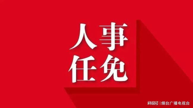 烟台人事任免最新动态及深度分析