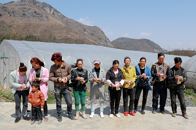 冯寨村民委员会乡村道路升级改造，村民出行更便捷——最新交通新闻