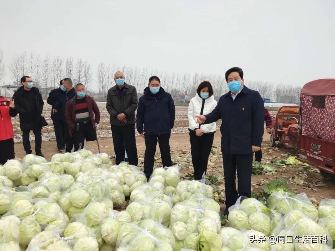 郸城县市场监督管理局最新战略规划揭秘