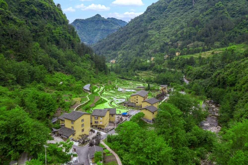 山里乡最新项目，乡村振兴的新动力